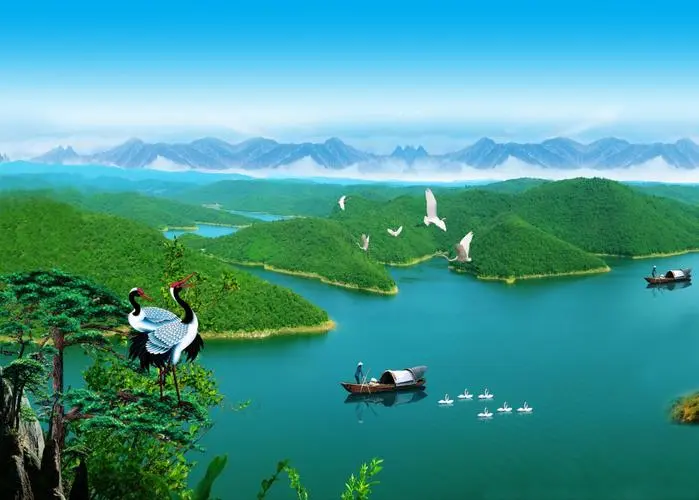 高效全自动